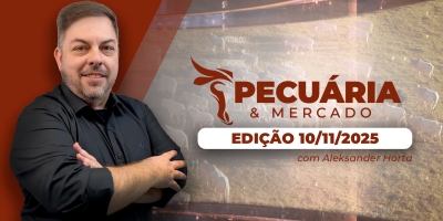 Semana desafiadora para o mercado do boi com frigoríficos fora das compras e boatos sobre a China