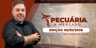 Bolsa sobe e tendência de alta da arroba do boi está mantida para janeiro, apesar da China