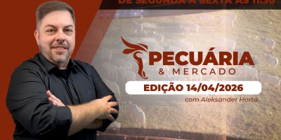 B3 se descola de mercado físico do boi, precificando quedas de mais de 20 reais na arroba para os próximos meses