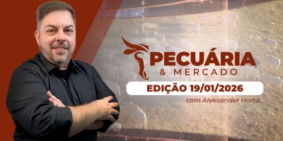 Semana começa com preços do boi gordo em alta na B3 nesta 2ª feira (19)