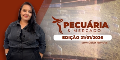 Na B3, futuros do boi acumulam terceira sessão consecutiva de altas nesta 4ª feira (21); atenção às exportações