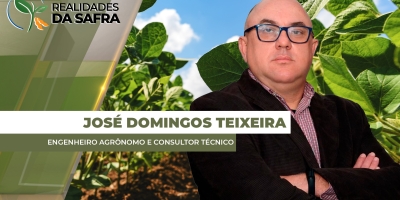 Primavera do Leste/MT colheu 80sc/ha de soja irrigada, mas espera redução no sequeiro