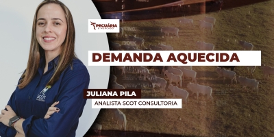 Frango tem alta de 4% no atacado paulista e mercado projeta preços mais firmes com avanço da demanda
