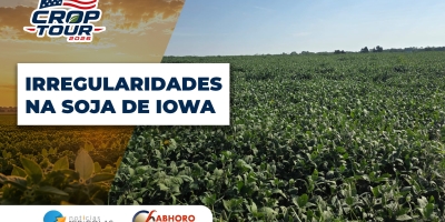 Irregularidades marcam a soja 2026/27 de Iowa, com rendimento ameaçado