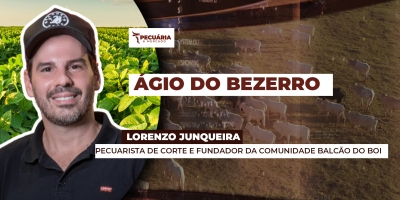 Bezerros registram valorização acima da média, enquanto garrotes e bois magros apresentam preços mais alinhados com a arroba do boi