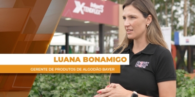 Entrevista com Luana Bonamigo - Gerente de produtos de algodão da Bayer