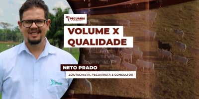Pasto volumoso nem sempre é eficiente na conversão alimentar alerta especialista