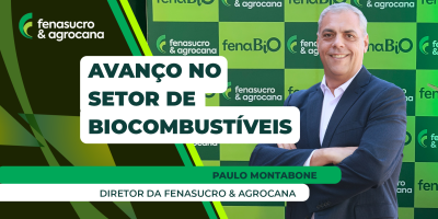 Setor de bioenergia passa por momento importante de crescimento e diversificação