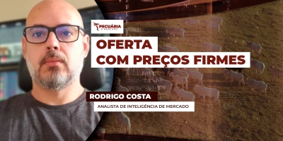 Volume de animais abatidos em março é 10% maior comparado a fevereiro, mas demanda forte evitou pressão nos preços