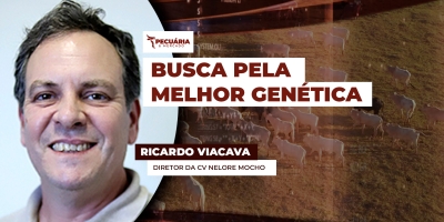 Pecuarista conta como é feita a seleção de um animal com potencial de compor o catálogo das Centrais Genéticas
