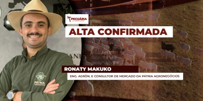 Arroba do boi tem movimento generalizado de alta e algumas regiões já praticam preços próximos  aos de SP