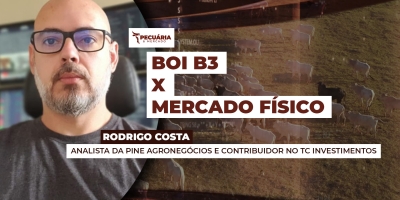 Queda forte da arroba na B3 não chega ao mercado físico, que tem cenário mais resiliente