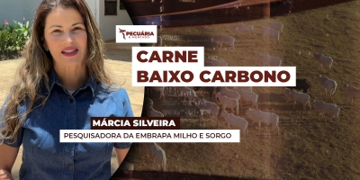 Embrapa vai apresentar protocolo para produção de carne de baixo carbono durante COP 30