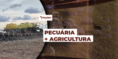 Fazenda Reunidas em MT investe R$120 milhões em ações para recuperação de pastagens degradadas