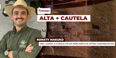 Arroba do boi pode buscar novas altas até março e depois mercado pode lateralizar, alerta analista