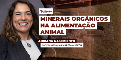 O uso de minerais orgânicos proteinados  para alta performance zootécnica e menor impacto ambiental