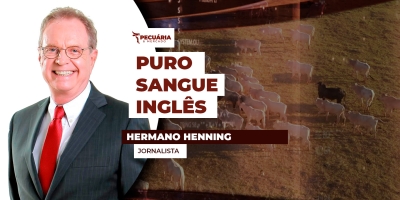 Primeiro Puro-Sangue chegou no Brasil em 1874 e abriu caminho para a evolução da raça