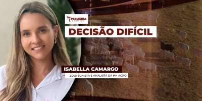 Alta no físico, queda no futuro