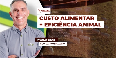 Estabilidade na oferta de grãos e coprodutos e eficiência na conversão alimentar ajudam a reduzir custo dos alimentos