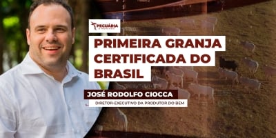 Granja mineira é a primeira do Brasil a alcançar certificação de alto nível em bem-estar animal