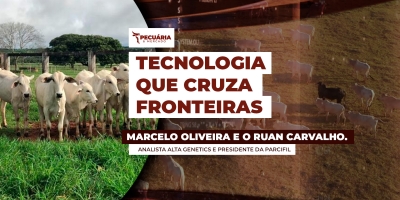 Brazilian Cattle conecta Brasil e África através da tecnologia