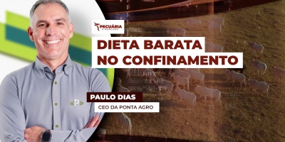 Custo alimentar do confinamento cai ao menor nível histórico no Centro-Oeste, mas sobe no Sudeste em fevereiro