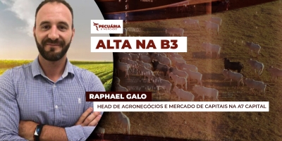 Alta forte da arroba na B3 conta com movimento especulativo e pode perder força nos próximos dias, alerta analista