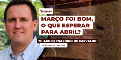 Março encerra com recuperação da arroba do boi e preços recordes para o bezerro