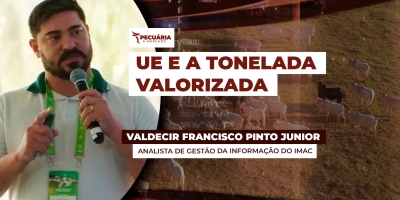 Carne exportada de MT tem valorização de 34% em relação ao primeiro bimestre de 2025 e UE é quem paga melhor