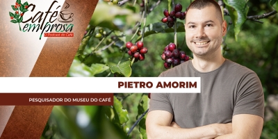 Pilar histórico e econômico: A cafeicultura foi fundamental para o desenvolvimento do Estado de São Paulo