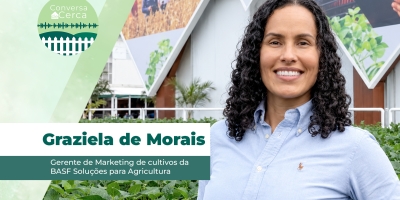 CONVERSA DE CERCA - Manejo preventivo de doenças no arroz mantém lavouras mais sadias e com potencial produtivo preservado