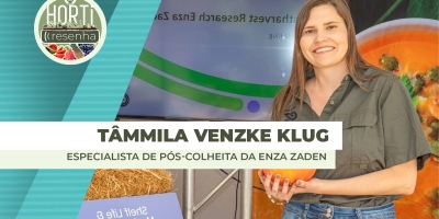 HORTI RESENHA #137 - Abóbora: Nível de nutrientes varia de acordo com variedade, colheita e armazenamento