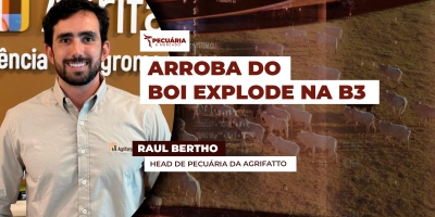 Arroba do boi sobe quase 20 reais nos contratos mais próximos na B3 e valorizam períodos que costumam ser de pressão nos preços