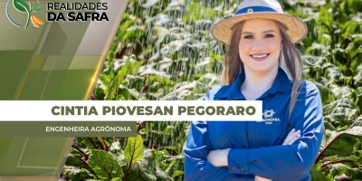 Chuvas atrasam colheita da soja no oeste baiano, apesar da produtividade regular
