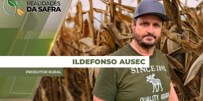 Alguns produtores de Dr.Camargo/PR estão gradeando o milho que não germinou pela falta de umidade