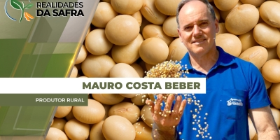 Condor/RS tem colheita da soja bastante atrasada em função do excesso de chuvas, após sofrimento com a estiagem