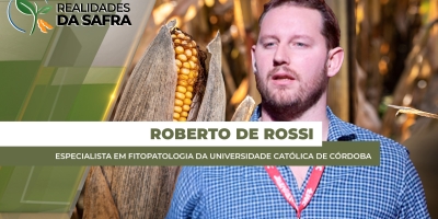 Após veranico de janeiro, chuva voltou e ajudou lavouras de soja e milho na Argentina