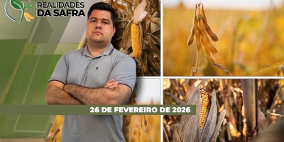 Com colheita da soja concentrada, custo do frete dispara no Brasil e fica muito acima da média dos últimos 5 anos