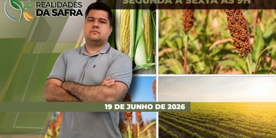 Colheita de segunda safra começa no Tocantins, enquanto preparação para arroz 26/27 está atrasada no Rio Grande do Sul