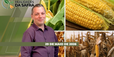 REALIDADES DA SAFRA - EDIÇÃO 29-05-2026