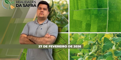 RS dá início a colheita da soja, enquanto Jataí/GO colheu apenas metade da safra com atraso e perda de produtividade