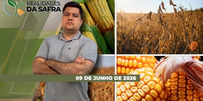 Mato Grosso espera boa safra de milho com colheita começando a ganhar ritmo pelo estado, que entra no vazio sanitário da soja