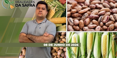Colheita do milho avança com bons resultados no Mato Grosso