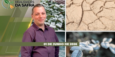 REALIDADES DA SAFRA - EDIÇÃO 01-06-2026