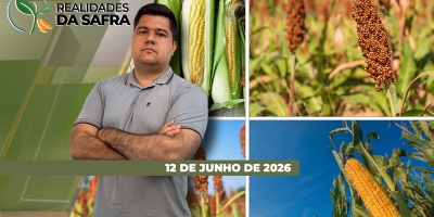 Colheitas de segunda safra começam com otimismo no Mato Grosso, mas perdas consolidadas em Minas Gerais