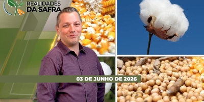 Algodão perto da colheita, enquanto que safra americana de grãos na mira do mercado
