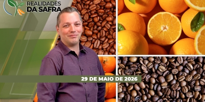 Eventos sobre cafeicultura e citricultura discutem sobre os rumos das culturas no país