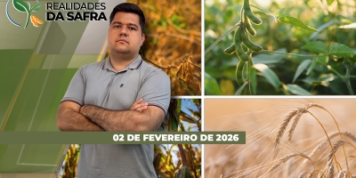 Amambai/MS espera boa safra de soja, mas Rio Grande do Sul enfrenta dificuldades com chuvas e já espera perdas