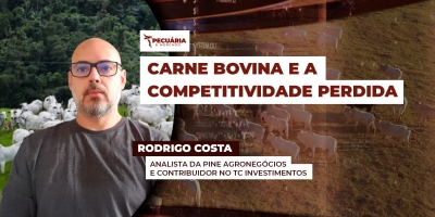 Nova tarifa de 50% para a carne bovina pode comprometer competitividade do produto brasileiro nos EUA