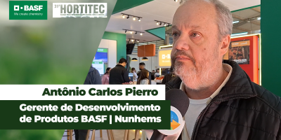 Iniciar a lavoura com híbrido resistente às doenças faz total diferença na produtividade do tomate